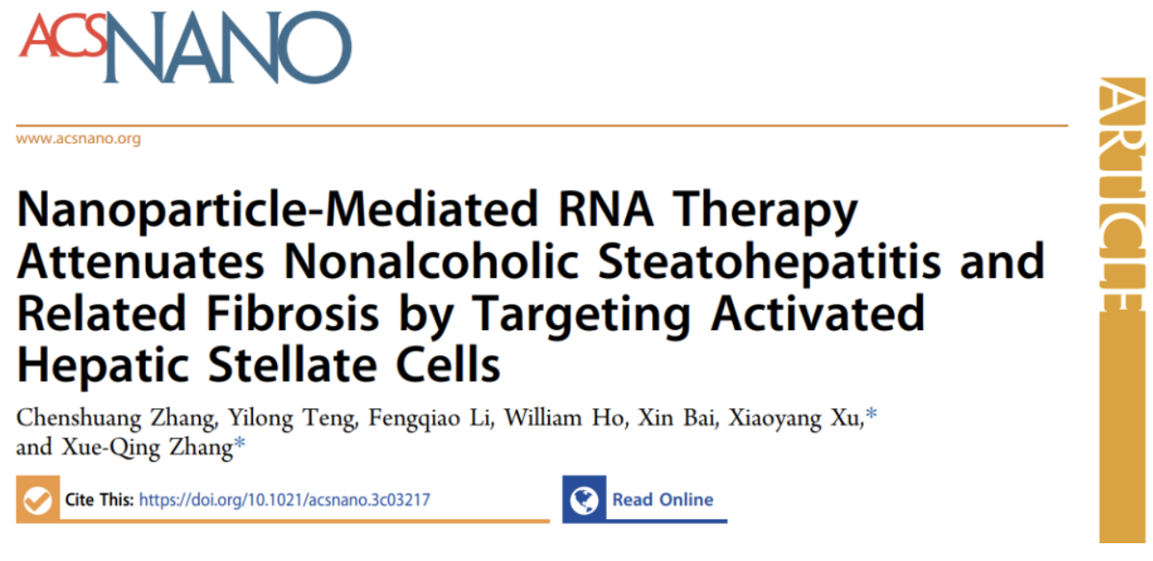 上海交大章雪晴《ACS Nano》：靶向激活肝星状细胞的核酸纳米药物治疗非酒精性脂肪肝炎及相关肝纤维化
